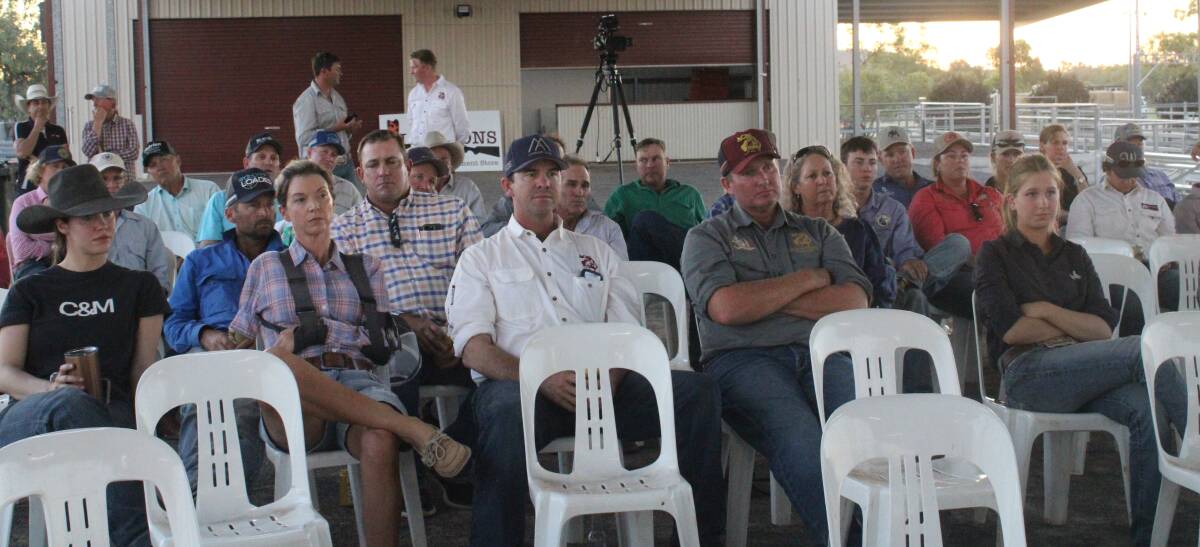 A portion of the crowd at the Australian Campdrafting Association's AGM held in Cloncurry. 