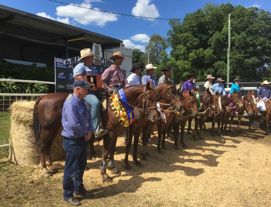 Organisers of the Warwick Rodeo and Gold Cup Campdraft have ensured there is enough water to maintain the grounds and stock. Picture: Helen Walker