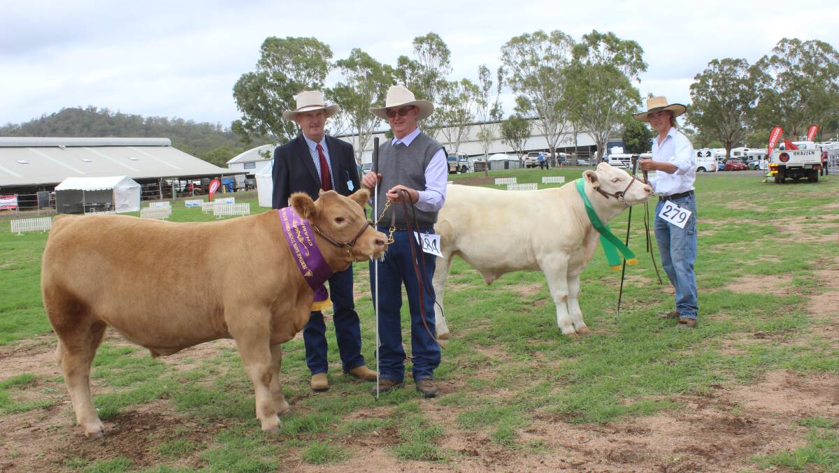 Champion light weight steer was Red exhibited by the Murray Nicholls, Kyogle, NSW, and reserve was Snoop Dog  exhibited by Lachlan Young, Esk.