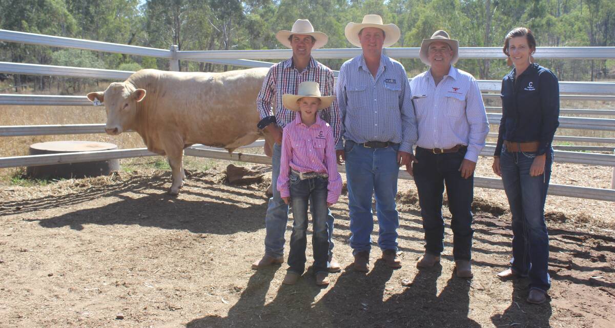 Clare Panther (P) (RF sold for $20,000 at the Eidsvold Charolais Sale and is pictured with Alan Goodland, Paul Hastings, Rob Bygrave, Natalie Goodland and Indiah Goodland. 