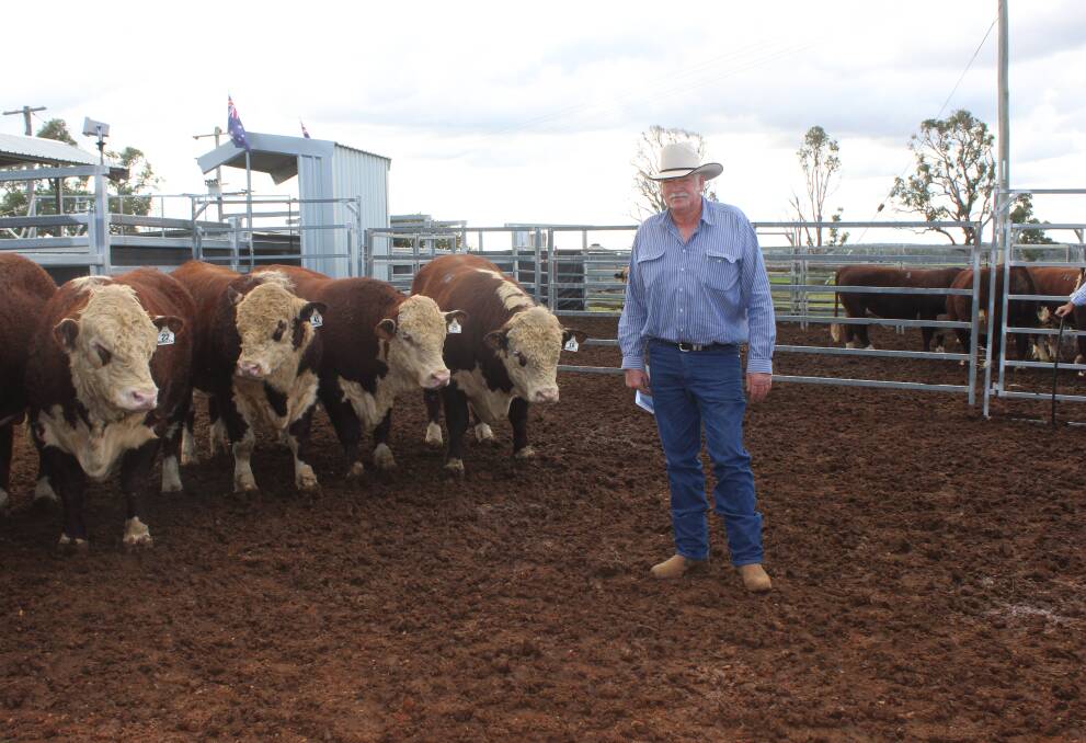Volume buyer was Chris Kemp, Eungy Pastoral Co, Milparinka, Blackall who finished with eight bulls for his western Queensland breeding operation.