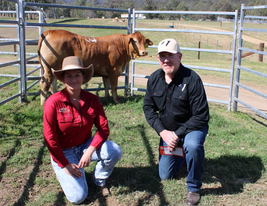 High Country S Lollypop (P), a daughter of Glenlands D Whynot (P) topped the sale at $12,500 and is pictured with Steph Laycock and selling to Justin Webb, Vanguard Droughtmasters. near Blackbutt.