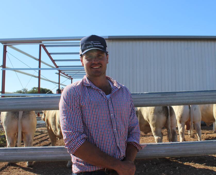 Commercial cattleman Charlie Booth, Burunga , Wandoan, finished with nine bulls at the ANC Full French Charolais sale to average $11,166. 