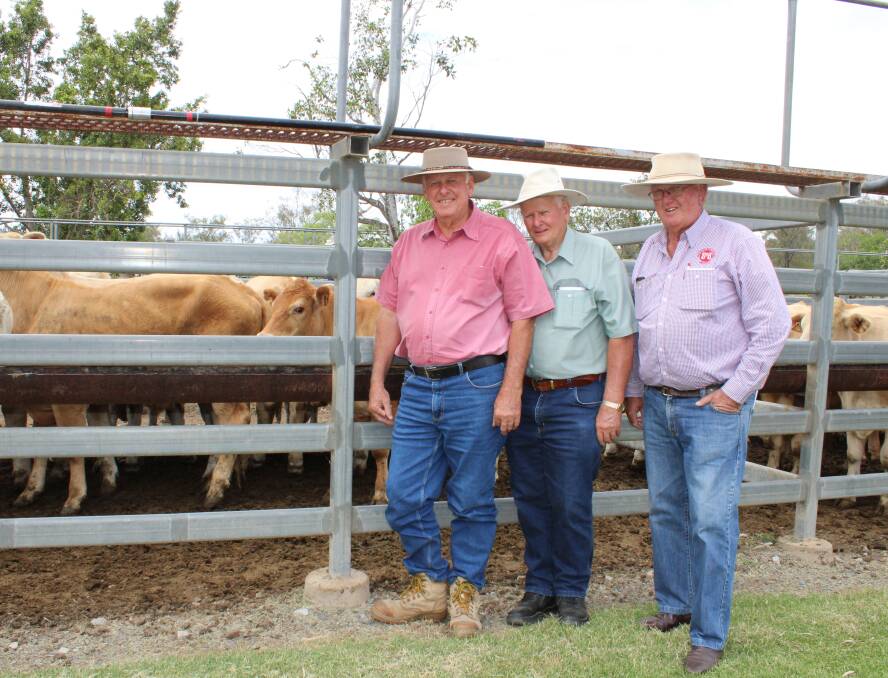 Lew and Ian Paroz with Vince O'Brien, Shepherdson and Boyd and a line of Charbray feeder steers they sold at Toogoolawah Store Sale on Friday. Picture Helen Walker.