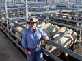 Burnett Livestock and Realty's James Cochrane with Charbray cows on account of Capricorn Estates, Brooweena, which sold for $1746/head. 