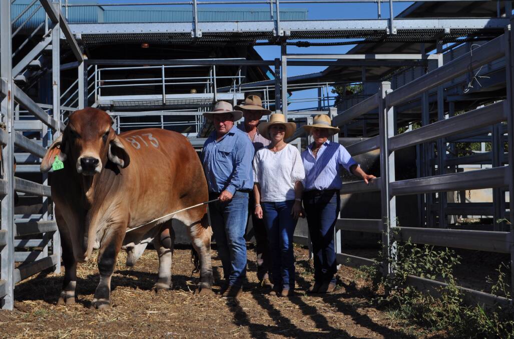 Peter and Len Gibbs, Gibbs Farming Co Biggenden with Sally Sweetland and Annabelle Wilson Samari Plains, Roma with Lot 873 Muan A Sundown 5561 (IVF) (P) who sold for $95,000. Picture Jane Lowe.