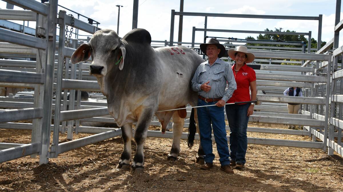Carinya  Chevy (H) sold for $72,500 and is pictured with vendor John Kirk vendor and Lee Scott, Ruan Grazing, Clermont. Picture Sheree Kershaw.
