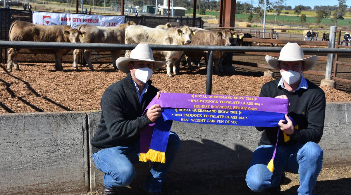 Palgrove Pastoral's business and genetics manager Ben Noller and Palgrove Pastoral's CEO Will Heath with the winning pen of six in Class 40 (100 days Hormone Growth Promotant free export). Their Charolais pen recorded an average daily weight gain of 2.245kg. Picture: Shan Goodwin.