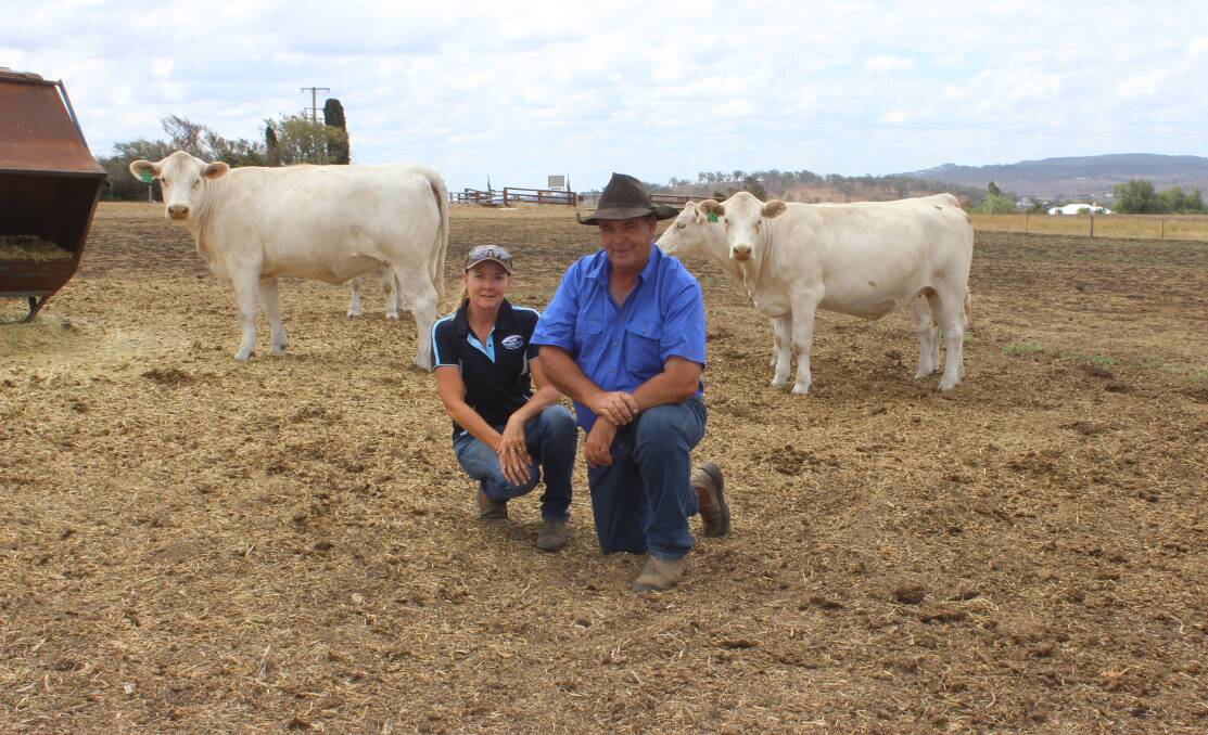 Ramsay district cattle breeders, Ian and Katrina Bebbington, Mt View, have off-loaded as many cattle as possible. 