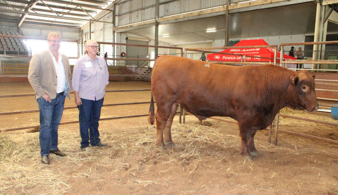 Richard Brimblecombe, Legacy Livestock, a sponsor of the sale, admires with top price bull Boonyouin Reality R29 who sold for $22,000, with vendor Maryanne Kearney. Picture: Helen Walker 
