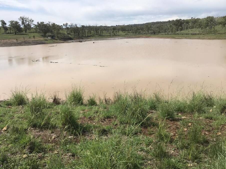 After being bone dry for months Traprock Orchard received a much need 69mm giving them much need run-off into their irrigation dam which is now sitting at 50 per cent. Picture- supplied. 
