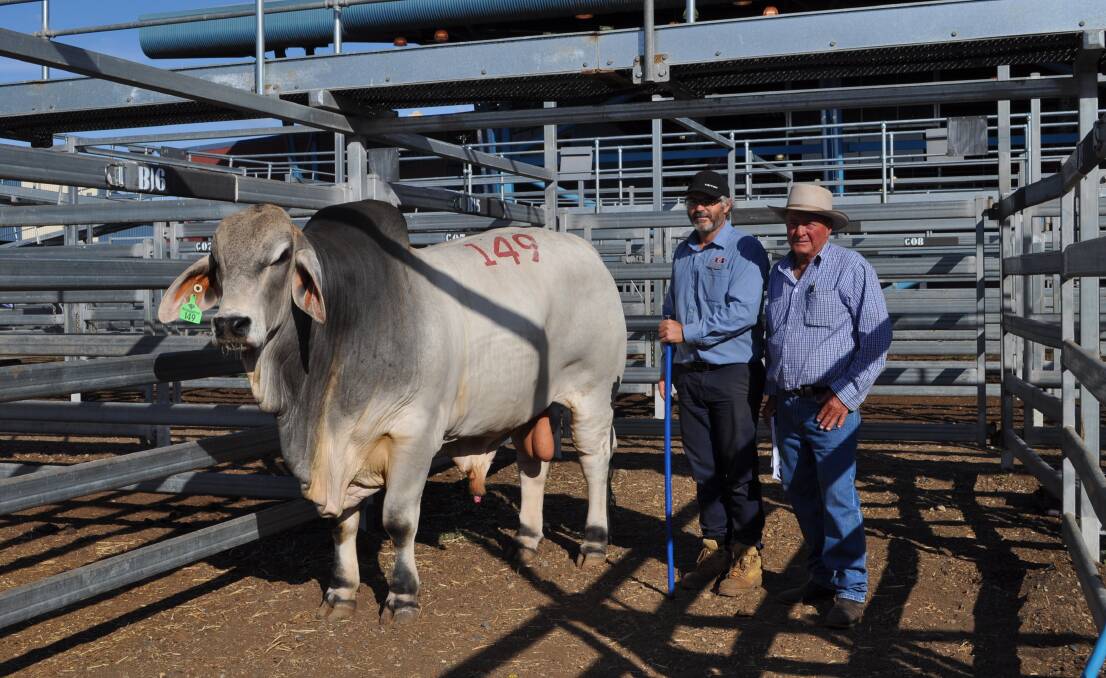 Neville Sommerfeld,  Brahrock N Brahmans, Maryborough, with Brahrock Ashley Sir Brandon (IVF) (D) owned by his son Ashley, and the buyer Stewart Nobbs, Yoman Cattle Co, Moura, that sold for $72,500. Picture: Jane Lowe
