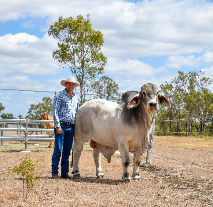 Kelvin Harriman, GI Brahmans, Muttaburra, with Clukan Axel 333/7 (AI) (ET) (P) who he bought for $100,000. Picture Sheree Kershaw
