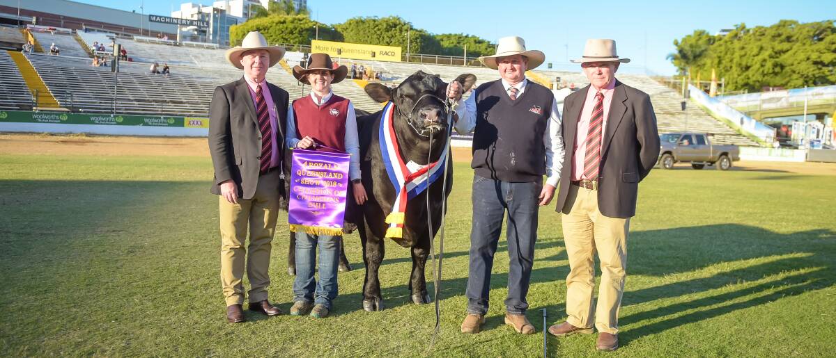 Champion of Champions bull: Pine Creek Newsman with Andrew Meara, Elders, Christie Kennedy and Greg Fuller, Pine Creek Angus and Blake Munro, Elders. Picture: Kelly Butterworth.