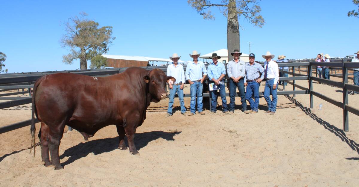 Waco R176 (P) sold for $95,000 and is pictured with Howy and David Bassingthwaighte, buyers Jacob Ross, Mitchell and Clayton Sargood and Cyril Close, TopX.