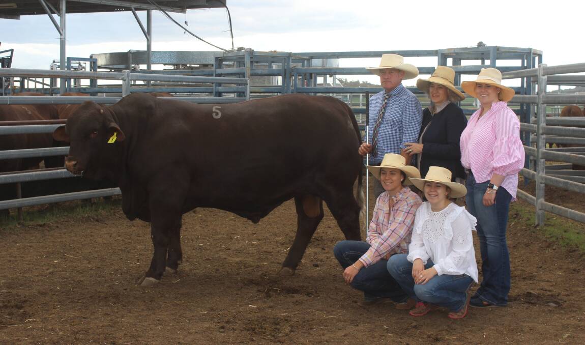 Glenn Oaks Palo P1211 (PS) who sold for a new Santa Gertrudis breed record of $126,000 is with his breeders Scott, Wendy, Phoebe, Sophie and Lilly Ferguson, Glenn Oaks Stud, pictured at Santa Central. Picture: Helen Walker