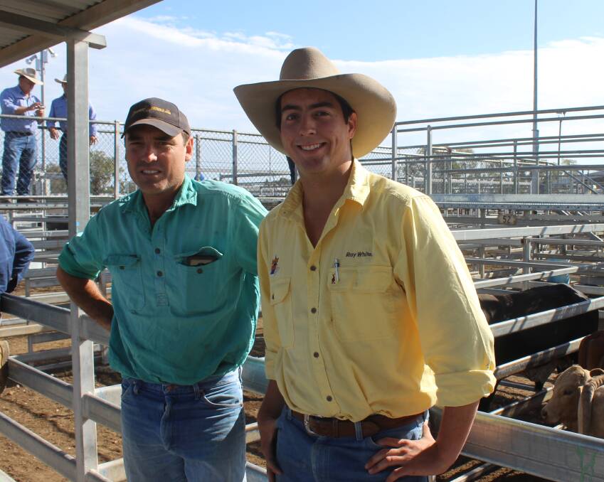 Dan Lawton, Strathalbyn, Hannaford, and Wyatt Wrigley, Eastern Rural Ray White, Dalby, were on the search for replacement weaners at the Dalby sale.