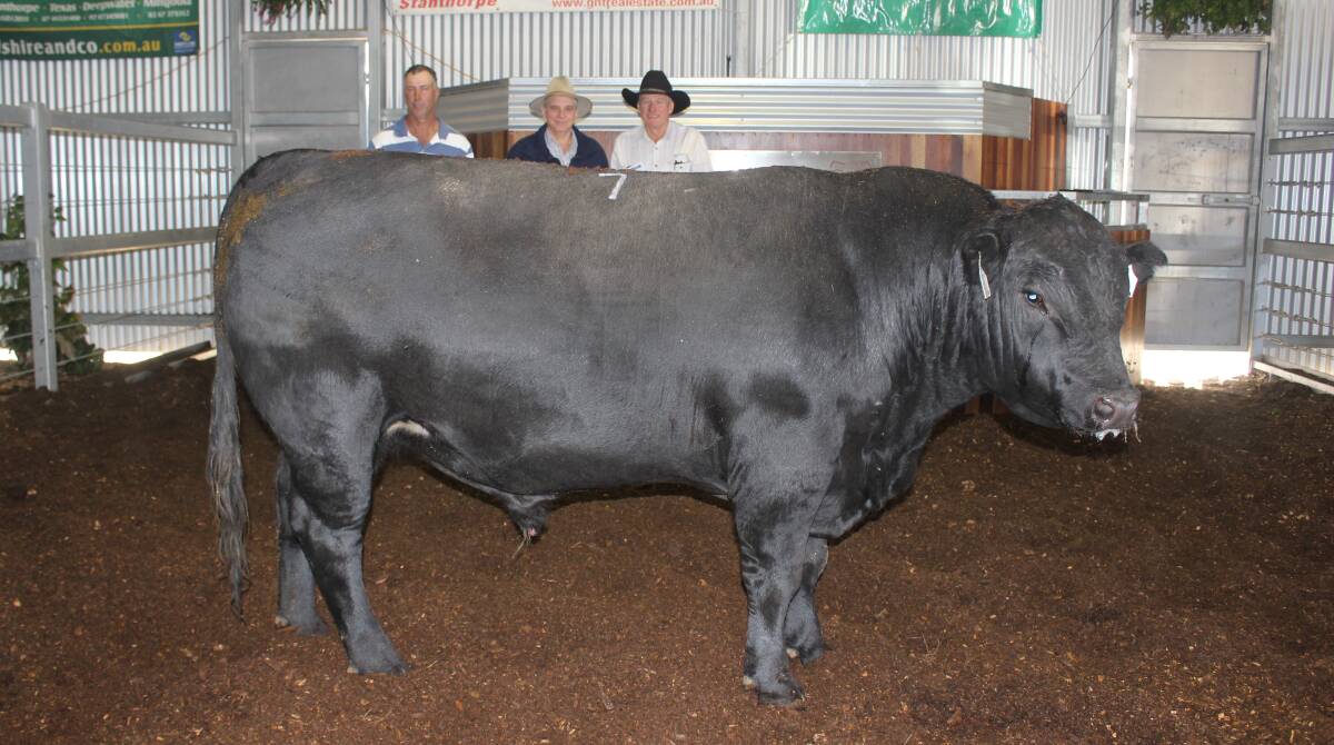 Glenisa Mystic M005 topped the Glenisa Angus on-property sale at $11,500 and was bought by Dan McAlary, The Downs, Glen Innes, NSW, (centre), and his manager Jason Cooke (left) with stud principal Ced Wise. 
