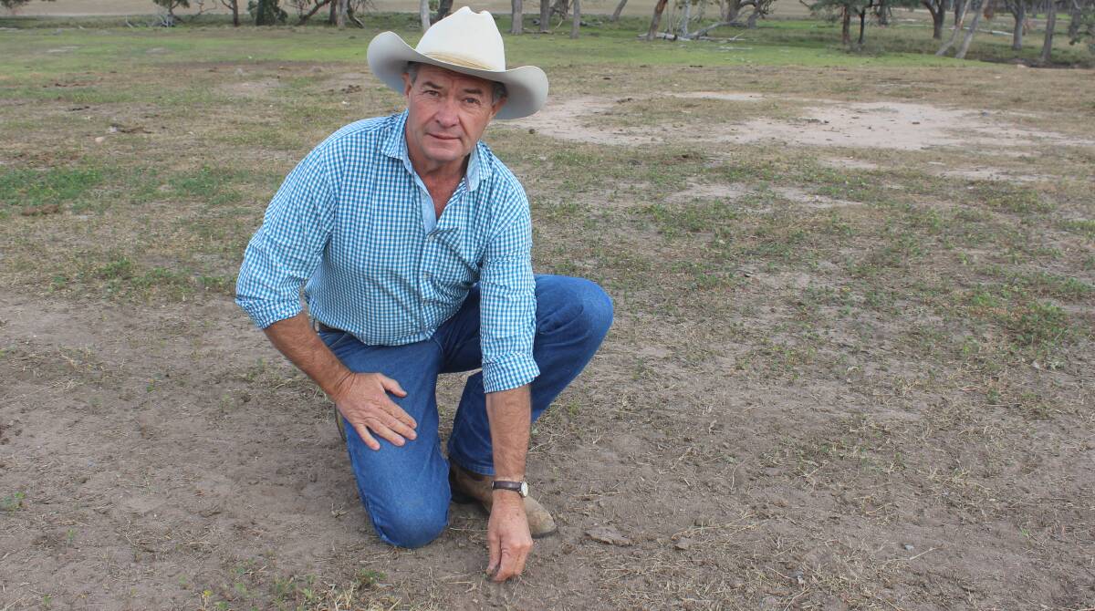 Palgrove stud principal David Bondfield, Strathgarve, Dalveen, said his country is well under par heading into winter. His drought management plan is to act early in response to the weather and not to overstock the country. Pictures: Helen Walker
