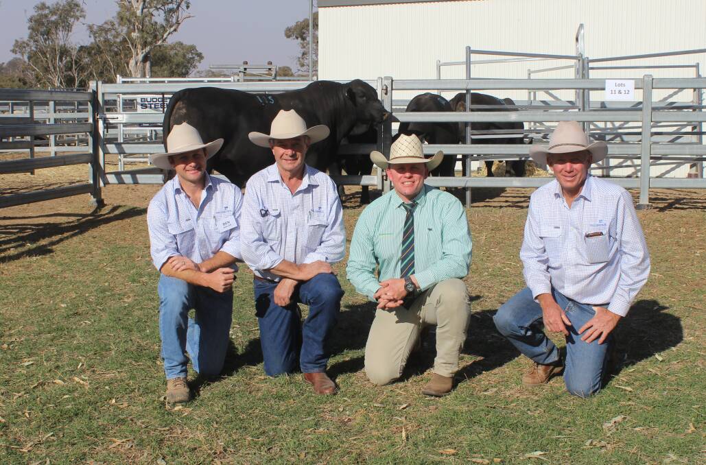 Palgrove Nockabout sold for the top Ultrablack price of $18,000 and is pictured with Ben Noller, David Bondfield, Colby Ede and David Smith.