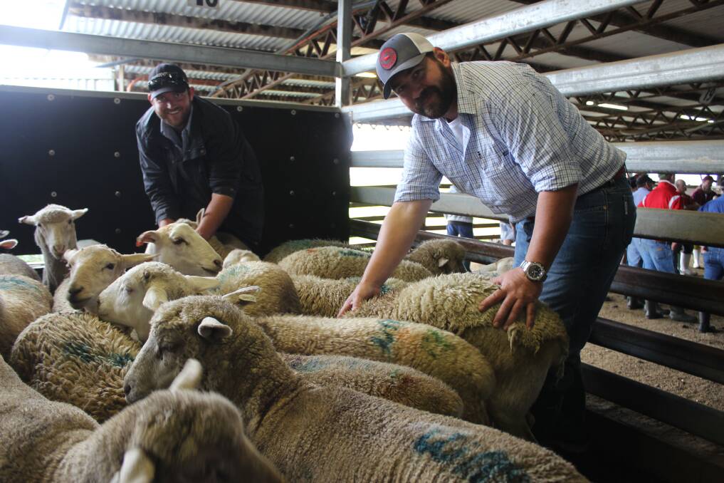Adam Summers, Richmond Slaughter Yards,  and Dan Nichol, Winton Butchery, are updated with animal welfare issues at Carey Bros Processing, Yangan.