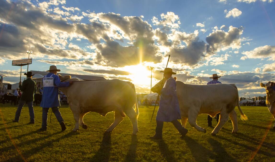 Beef 2021 will be held in Rockhampton from May 2 to 8. Picture: Lucy Kinbacher