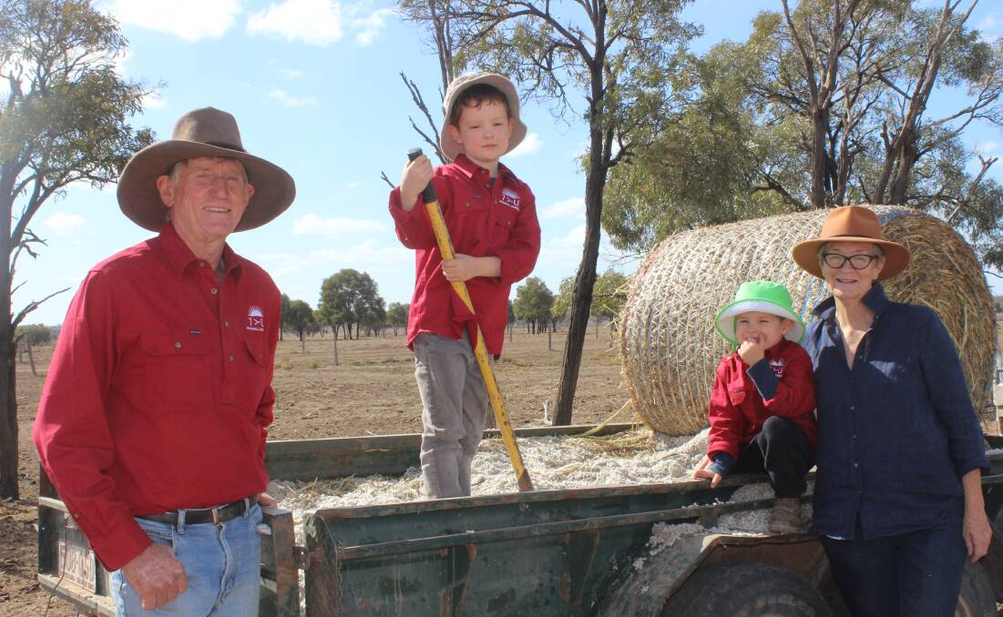 Helping out: Lee and Megan McNicholl with their grandsons Rex and Rafael Williams who were visiting from Hong Kong and lent a hand shovelling out cotton seed. Pictures: Helen Walker 