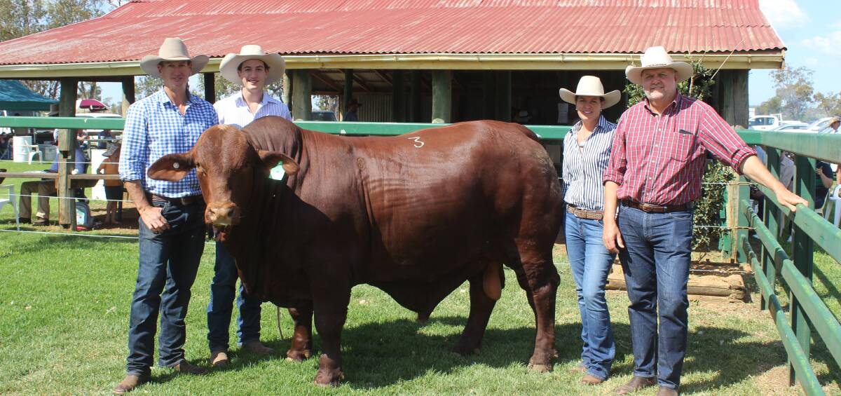 Waco Napoleon N80 sold for a top price of $82,500 and is pictured with vendors David, Howy and Suzanne Bassingthwaighte with buyer Craig Hindle, Bullamakinka Santa Gertrudis stud, North Bungunya. 