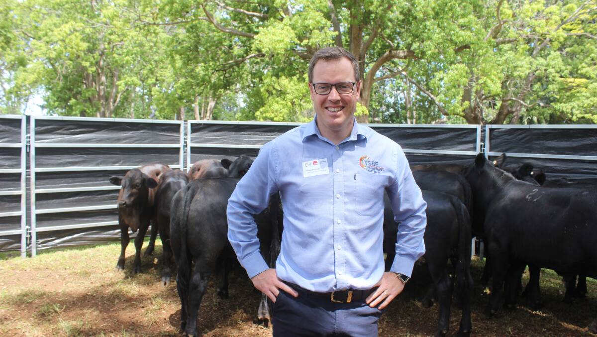 Bruce McConnel, general manager TSBE Food Leaders Australia with a line of Angus steers lent to the event by Daniel and Kylie Brasch, Four Son's Pastoral, Allora.
