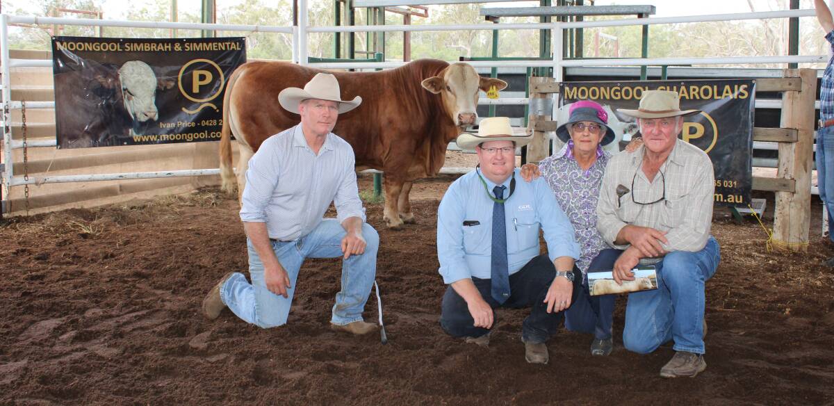 The Simbrah sale topper at $24,000 was Moongool MR R87 and is pictured with vendor Ivan Price, Mark Duthie of GDL, and the buyers Lyn and Rod Sperling, Rodlyn, Bell. 