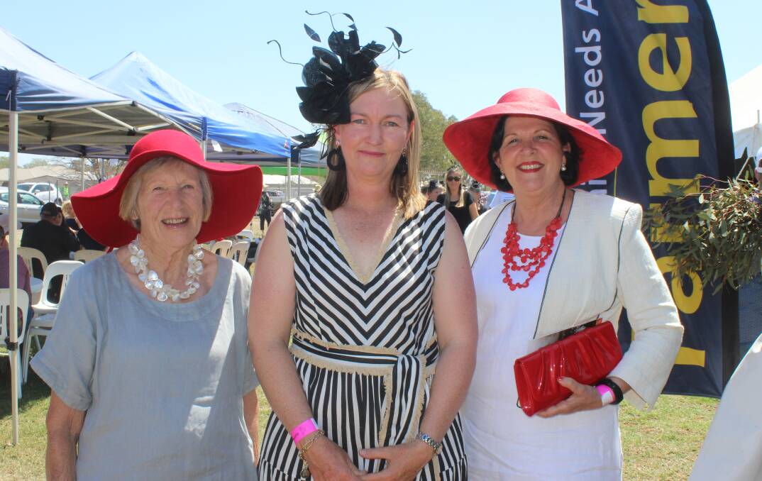 More than 3500 visitors were trackside for the running of the Clifton Cup held at the Clifton combined showgrounds and racetrack on Saturday.