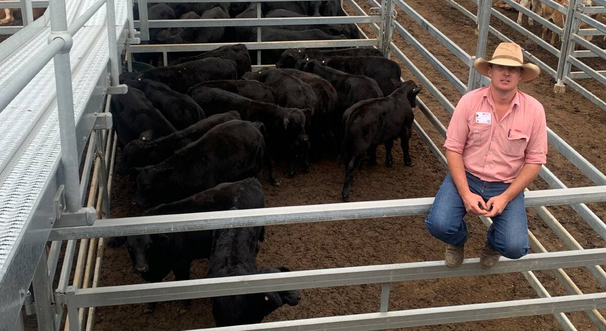 Morty Wilson, Elders, Rockhampton, with a pen of 43 Brangus weaner steers, which sold for 452.2c/kg to return $1083/head at CQLX on May 20.