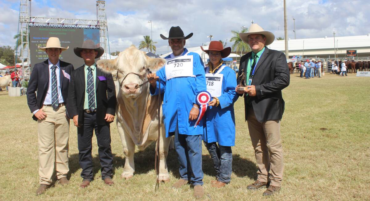 Grand Champion Charolais bull 4 Ways Quantum held by owner David Whitechurch, 4 Ways Charolais, Inverell, NSW is admired by associated judge Justin Rohde judge Reade Radal, and David McKechnie Nutrien, Rockhampton.