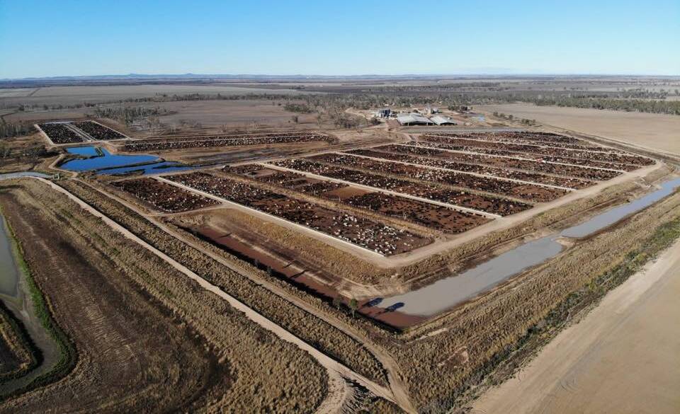 An aerial view of the Lemontree Feedlot at Millmerran, which was targeted by the Animal Activists Collective over the weekend. Picture: Supplied