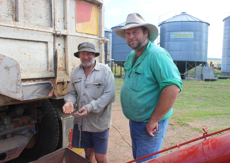 Grading time: Howard Brown and his neighbour Roger Blanch have began grading from his first sorghum crop which was harvested on March 13. Picture: Helen Walker