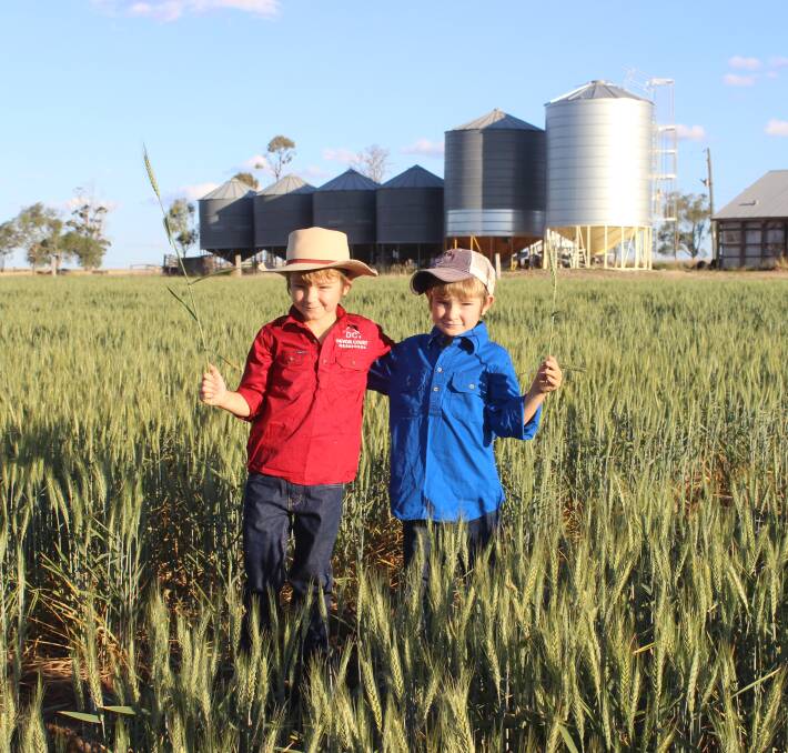 Brothers Archie Nixon 8, and Eddie 7, are standing proudly in a crop of Sunmax wheat Jay Dee near Drillham.