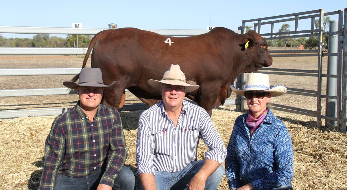  Yarrabee Inforce 1459 (P) sold $18,000.00 and is pictured with Will Barlow, Yarrabee Santa Gertrudis Stud, Dingo with buyers Andrew and Jules Orman, Benelkay Santa Gertrudis Stud, Mullaley, NSW. 