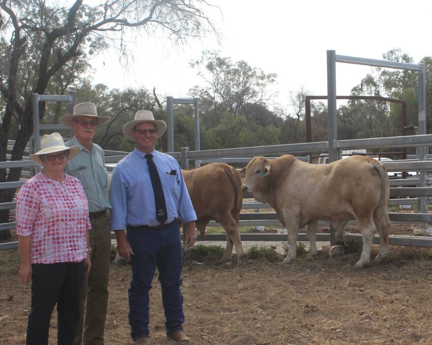 Top price bull at $20,000 was Huntington Musafa (P) bought by Julie and Bill Lewis, Diamond Dove Charbrays, Monto, with co-principal Matt Welsh, Huntington Charbrays, Taroom. Picture: Helen Walker