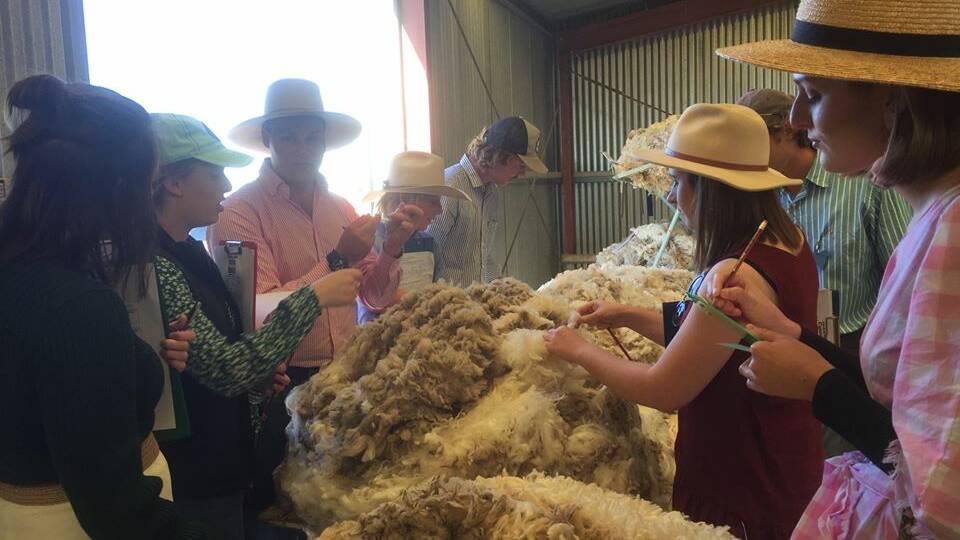 Muttaburra Stock Show to hold sheep and wool judging school