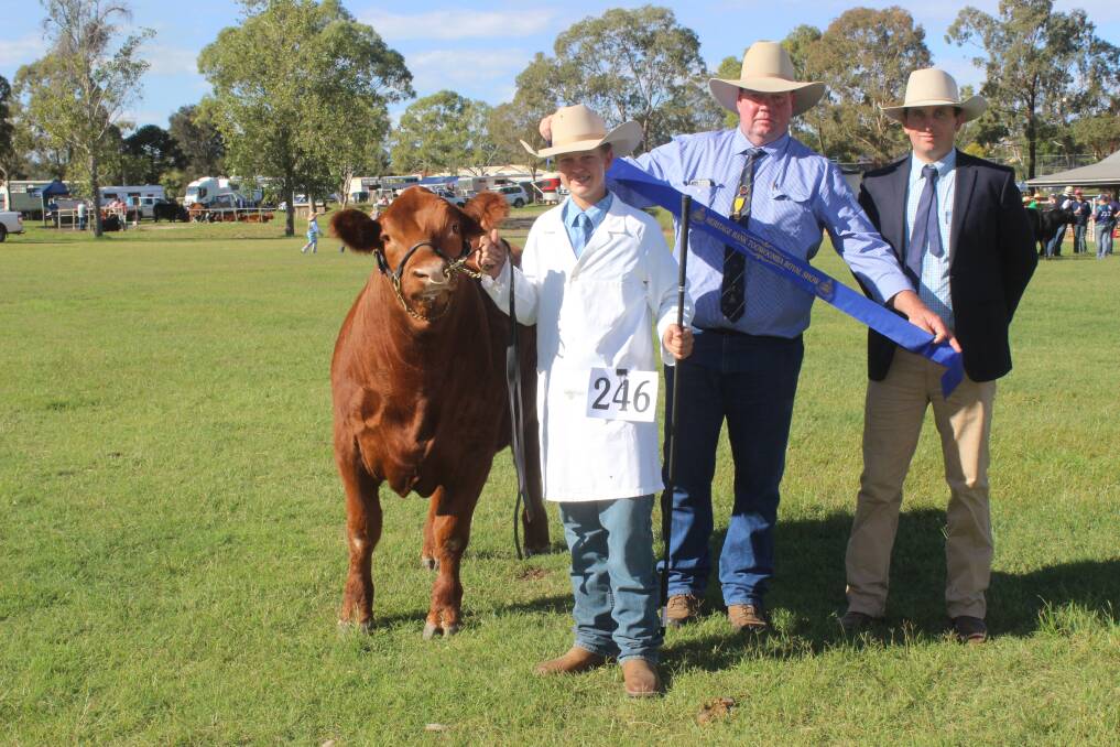 Hayden Beattie, Lowood, holding his steer Eight-One-Nine claimed the 15 to 25 years junior paraders competition at the Toowoomba Show. He is congratulated by chief cattle steward Cameron Collins and judge Patrick O'Leary, Remolea Herefords, Clifton. Picture Helen Walker.