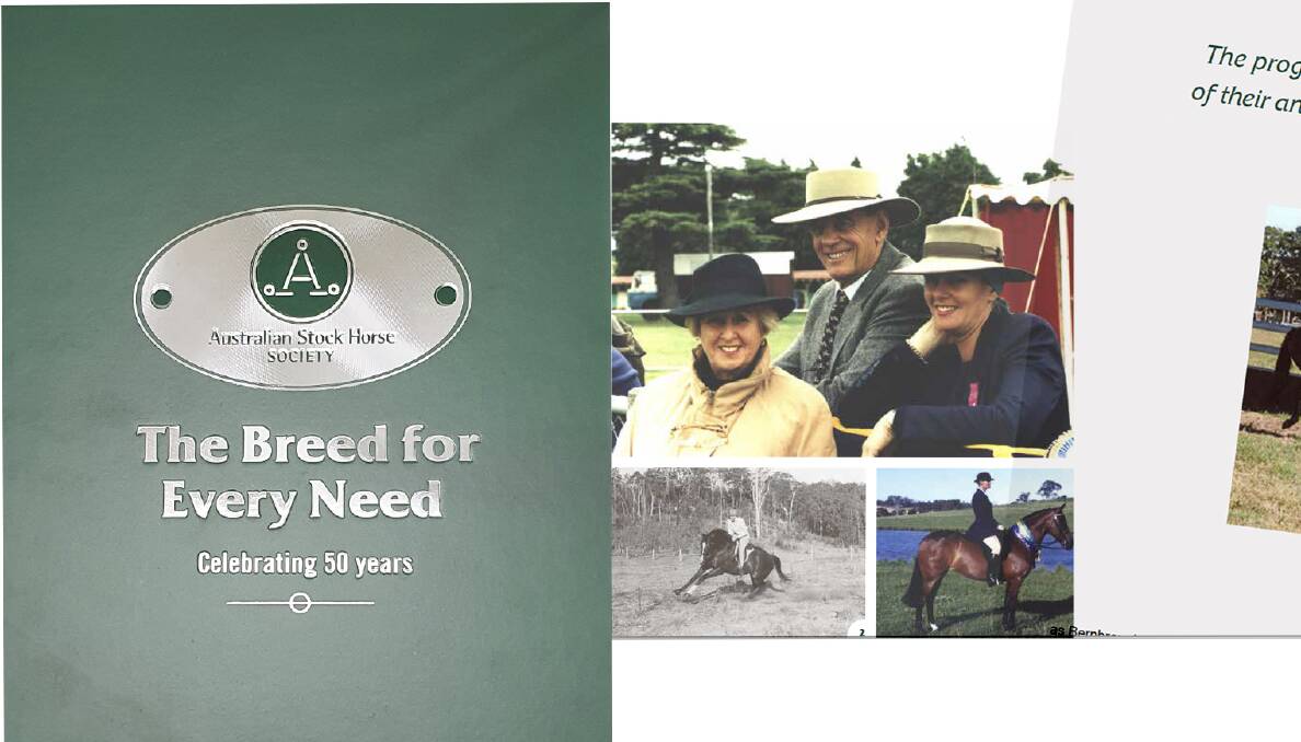 Australian Stock Horses celebrates 50 years
