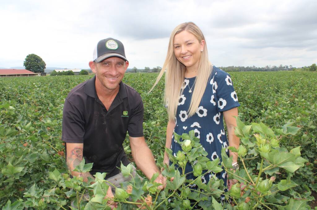 Lockyer Valley growers Neil and Sasha Schimke, from Clear View farm on Gatton's outskirts, moved from growing vegetables due to labour issues to cotton due to be picked in six weeks. Picture: Helen Walker