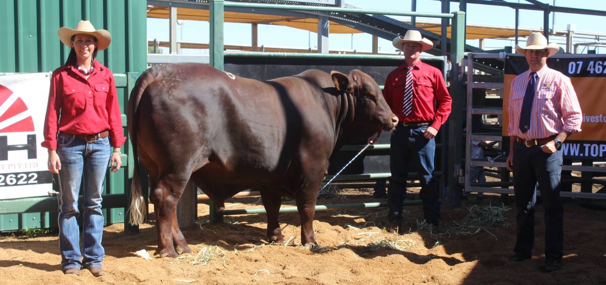 Second top price at $17,500 was Murgona Light-Year (PS), a son of Yarrawonga Jupiter (P) from the great breeding Murgona Empress E27 was bought by Andrew Bassingthwaighte, Yarrawonga Stud, Wallumbilla and is pictured with Kasey and Daniel Phillips and Carl Warren, TopX, Roma. 