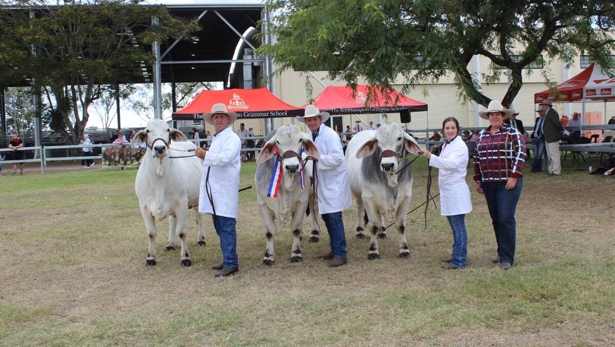 The supreme champion breeders group was exhibited by Lawson Camm, Cambil Brahmans, Proserpine. Picture: Alan Welburn