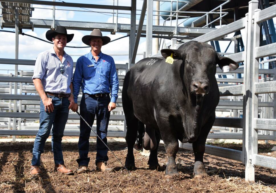 Buyer, Fleetwood Grobler, Stockyard International, Coonabarabran, NSW and vendor Stephen Pearce, Telpara Hills, Upper Baron, near Atherton, with Telpara Hills Magnum 541M30, who sold for the top price of $34,000. Picture Sheree Kershaw.