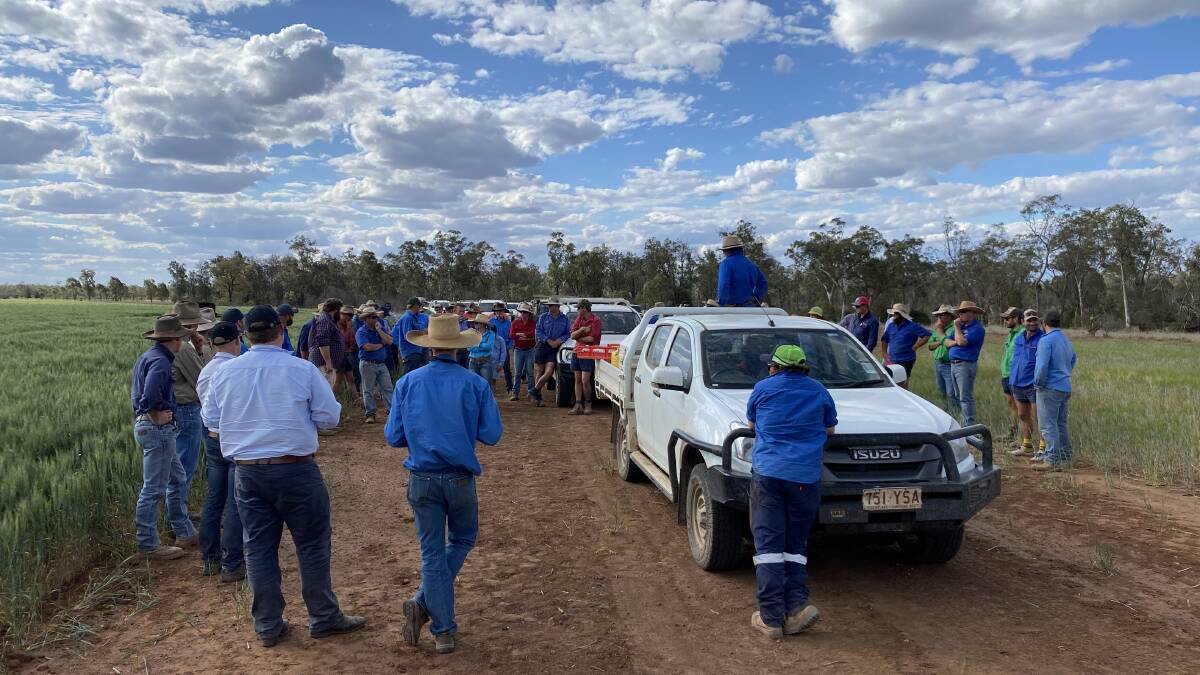 About 100 farmers attended the Macintyre Ag Alliance, TTQ Engineering Service and Ag Spray Centre, deep ripping field day recently.