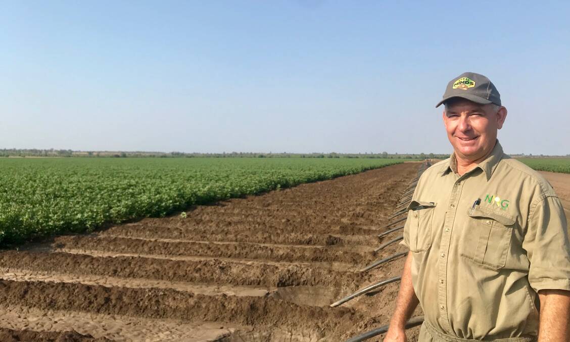 Comet district cotton grower Neek Morawitz expects his cotton crop to yield 10 bales/ha following a relatively smooth season. Picture - supplied.