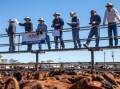 The team from the Red Central Rural livestock agency in action at the 2022 Alice Springs Show sale. Picture The Right Image. 