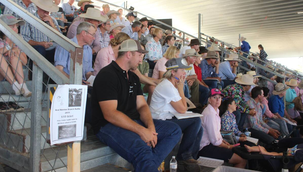 The stands are packed to capacity at the Dalby ASH sale, at the Dalby showgrounds.