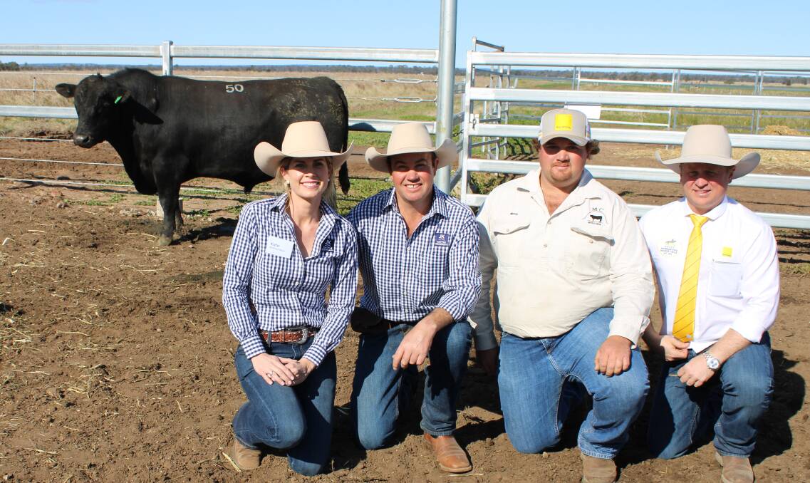 Equal top price Angus bull at $36,000 was JK Cattle Co Richmond R613, and is pictured with Kate and Justin Boshammer, buyer Mitch Burton Moola Creek Angus, Rangemore, and David Felsch, Ray White Rural, Dalby. Pictures Helen Walker.